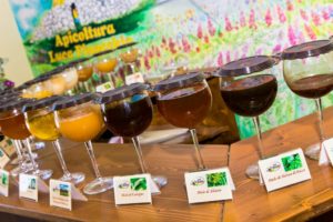 apicoltura luca finocchio