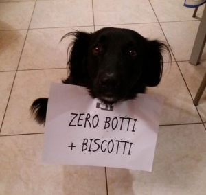 zero botti più biscotti