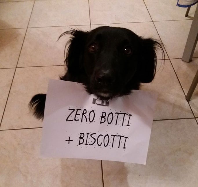 zero botti più biscotti