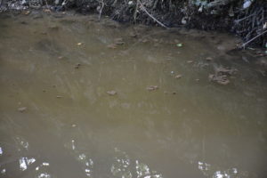 SangroPescasseroliValleDepuratore2_bassa