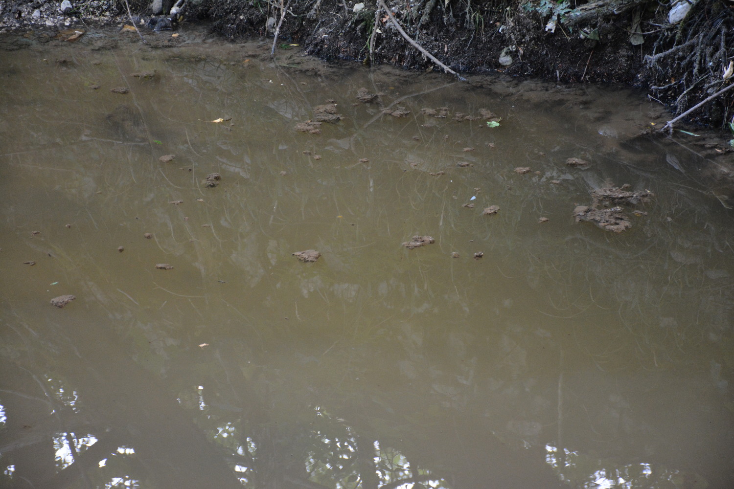 SangroPescasseroliValleDepuratore2_bassa