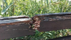 ponte-legno-tordino4