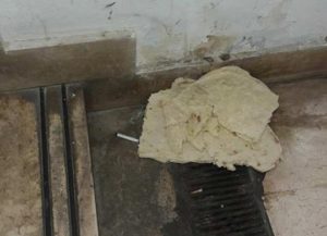 siringhe alba adriatica