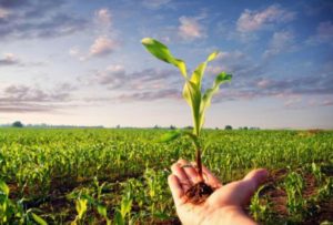 agricoltura_1