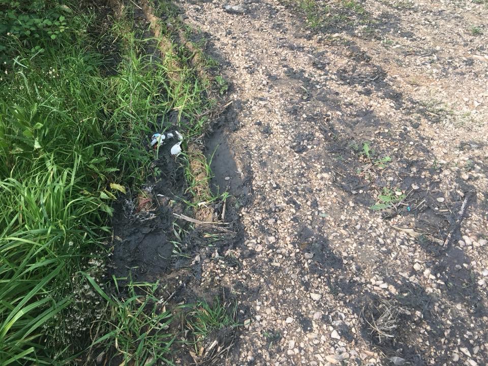 sversamento scarti frantoio nell'area riserva di Punta Penna