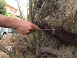 Piano d'Orta, i rifiuti segnalati dalla Soa sono "pericolosi" per l'Arta