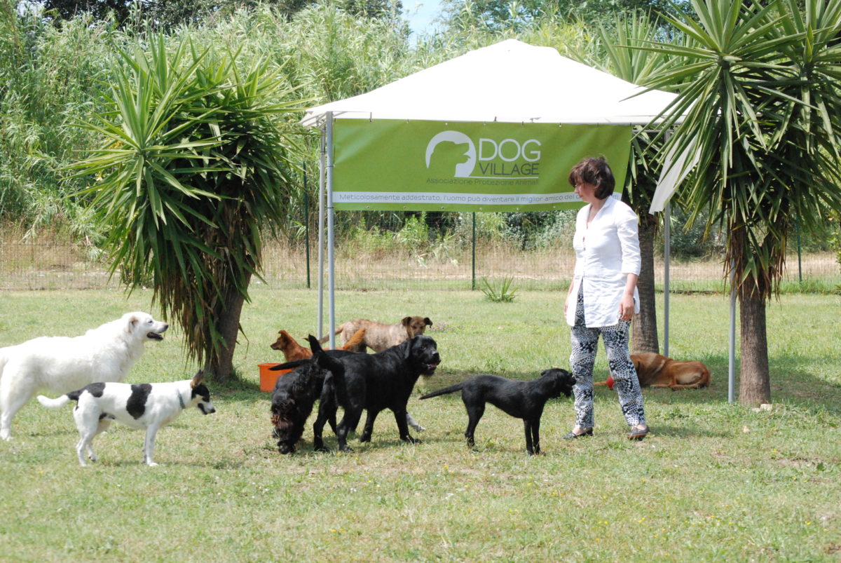 Archiviata inchiesta Dog Village, Maragno:“Modello virtuoso internazionale”