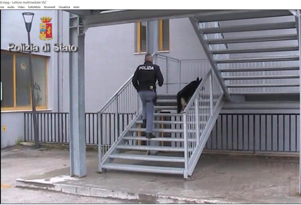 Droga a scuola: rinvenute e sequestrate dosi di sostanze stupefacenti