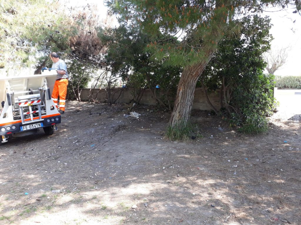 Sgomberata la pineta, Cozzi: “Azione costante per contrastare gli ultimi casi isolati”