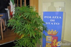 Giulianova, nascondeva in casa hashish e piante di marijuana: arrestata