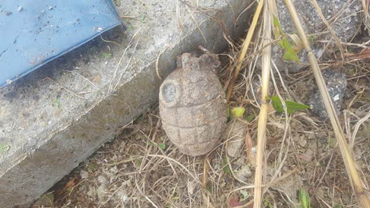 Trova bomba a mano in giardino: arrivano gli artificieri
