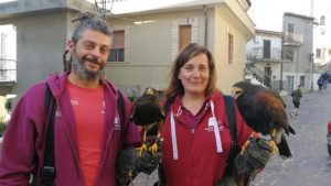 Montesilvano colle, arrivano i falchi per allontanare i piccioni