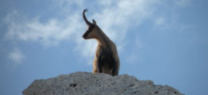 Approvato il nuovo Piano del Parco Nazionale della Majella