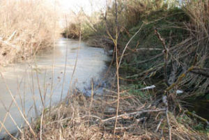 Rischio allagamenti: allertata Regione e Provincia sulla manutenzione del Saline