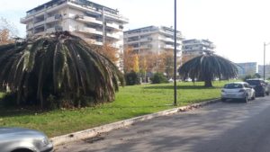 Degrado al quartiere Saline-Marina PP1: Co.n.al.pa.: "Riprogettare un verde di qualità"
