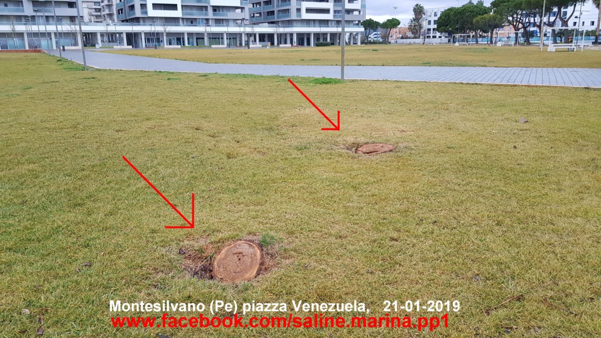 Presunti abusi e inadempienze verde urbano: De Vincentiis risponde al comitato