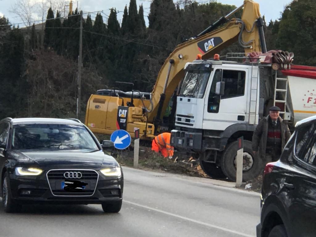 Tigli via Risorgimento: Anas torna ad abbatterli senza avviso