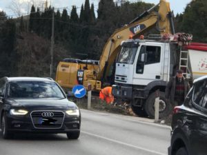 Tigli via Risorgimento: Anas torna ad abbatterli senza avviso