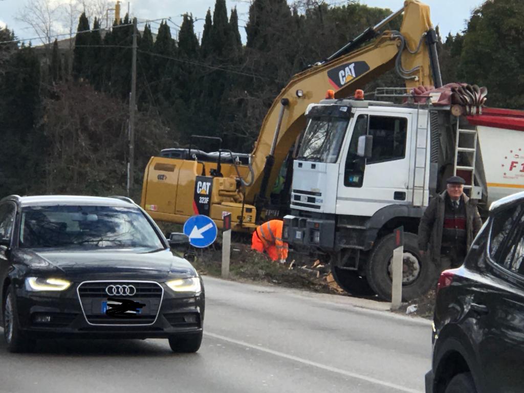 Tigli via Risorgimento: Anas torna ad abbatterli senza avviso