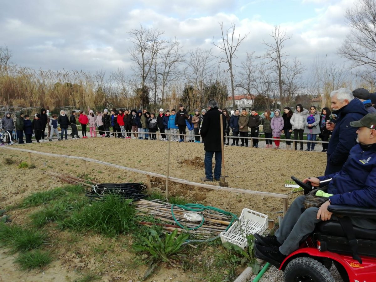 Orti urbani, oltre 150 bambini della Silone a lezione di agronomia