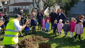 Cinquanta alberi nelle scuole cittadine, oggi le prime consegne