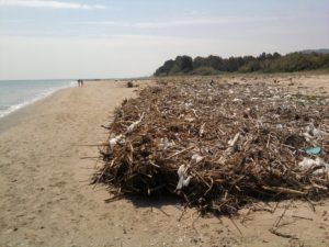 Discariche abusive Riserva Borsacchio: Corneli (M5S) incontra i volontari