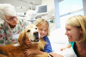 Parte “Pet therapy – Mi fido di te: dal contatto alla relazione”