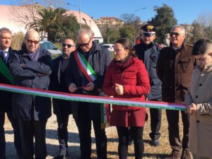 taglio del vulcanello cenerone pineto