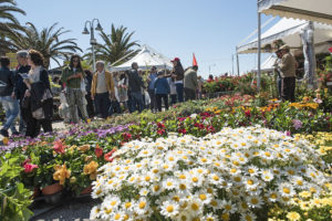 Pescara, taglio del nastro della mostra del Fiore Florviva: presente Marsilio