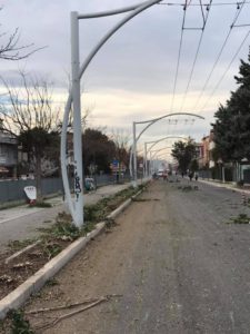 Potatura oleandri, attacchi gratuiti da persone non qualificate