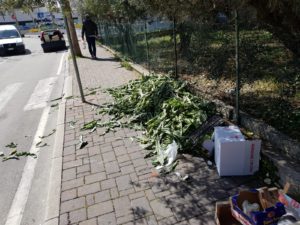 Raccolta differenziata: i dati di marzo consolidano percentuali superiori al 70%