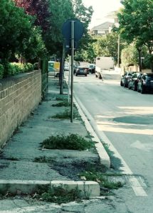 Viale Monte Sirente, aiuole abbandonate e nel degrado: la denuncia