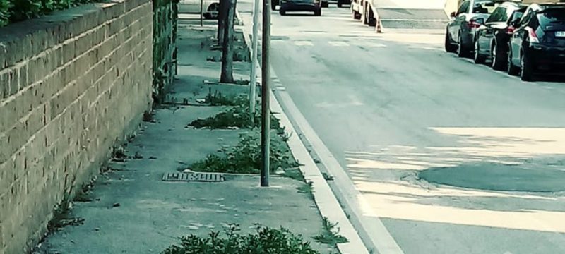 Viale Monte Sirente, aiuole abbandonate e nel degrado: la denuncia