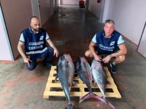 Controlli pescherecci Giulianova, sequestrati prodotti ittici