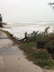 Pineto, giunta approva progetto di fattibilità commissionato sull’erosione