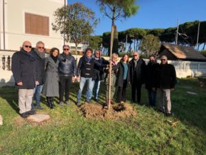 Pineto, i comitati di Italia Viva donano tre pini al Comune