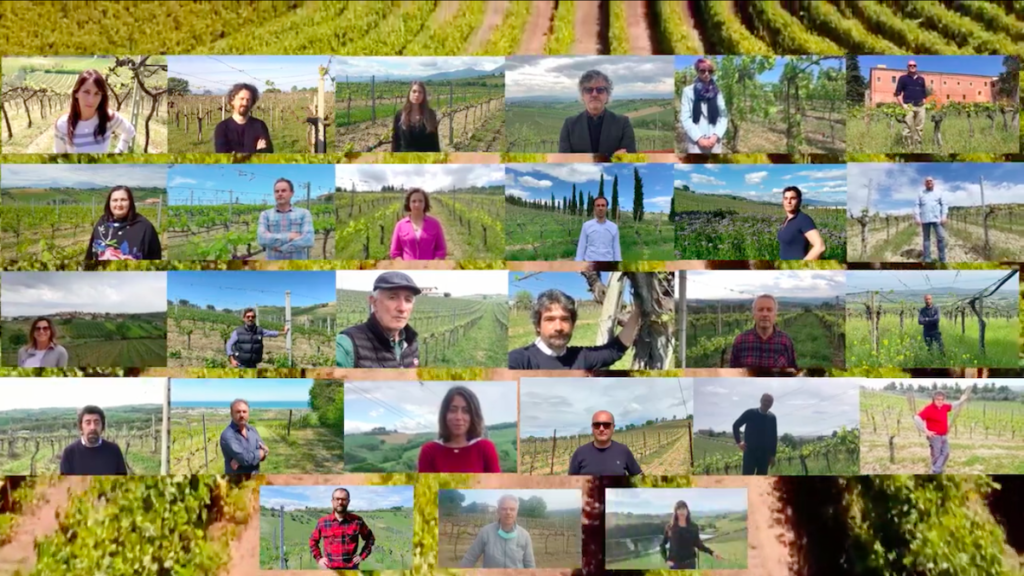 Colline Teramane: l’appello dei produttori di vino docg della provincia di Teramo