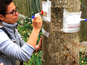 Parco Nazionale della Majella, il progetto Volontariato diventa realtà