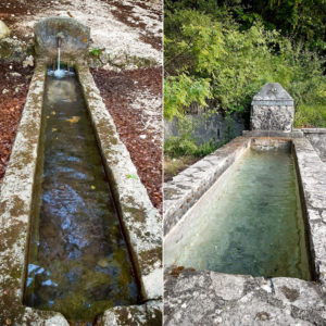 Giornata ambiente, Fare Verde: non pulite i fontanili