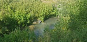 Acque torbide nel fiume Imele: la segnalazione di Fare Verde Abruzzo e N.O.V.P.C. Tagliacozzo