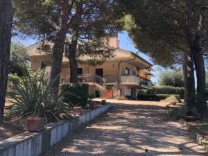 DONAZIONE FERRARO_MARTELLI