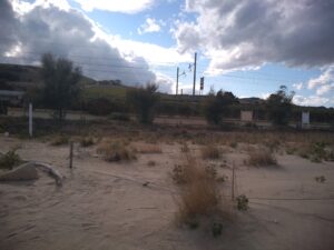 Area Marina Protetta Torre del Cerrano, dune aumentate in spiaggia