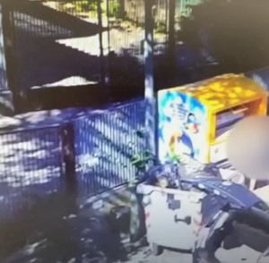 Campli, abbandona rifiuti per strada. Incastrata dalle fototrappole