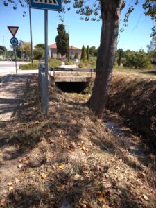 Pineto, iniziati i lavori di pulizia del torrente Foggetta