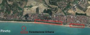 Pineto ottiene oltre 110mila euro per interventi su 45mila mq di pineta