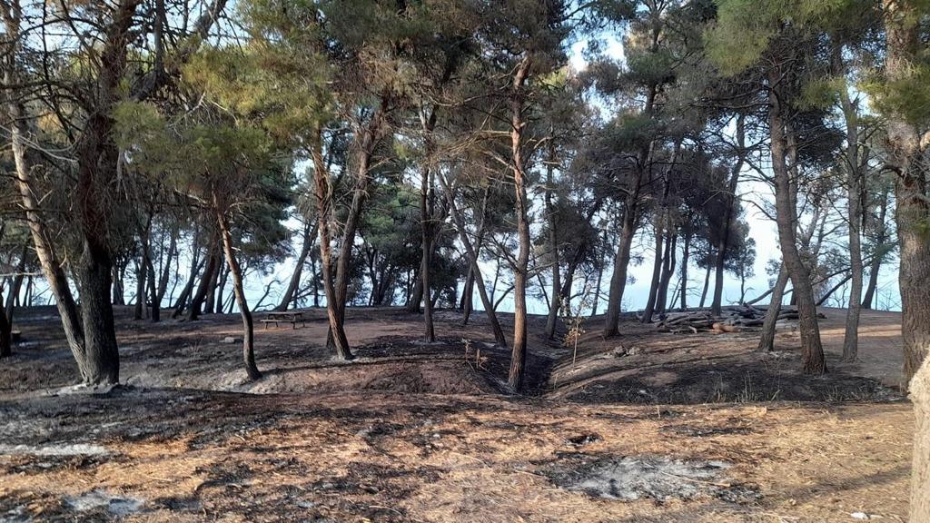 Rocca San Giovanni, incendi e abbandono rifiuti: sindaco scrive ai parlamentari