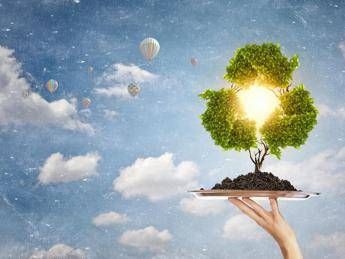 Rifiuti nei parchi urbani, quattro ogni metro quadrato