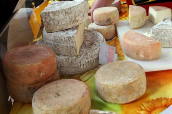 Formaggio ‘obbligatorio’ al ristorante? Lollobrigida: “Fake news”