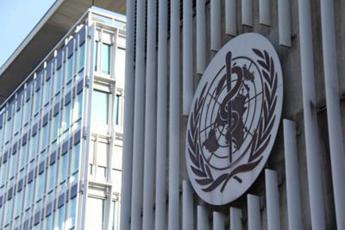 Influenza suina, alert Oms: caso umano di virus nei Paesi Bassi