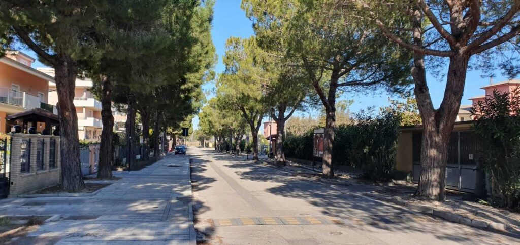 Pini di viale Volturno, replica dell’amministrazione a Monticelli e Italia Viva
